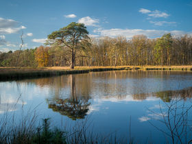 Fototentoonstelling 'Natuur in Focus'