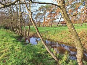 Gratis begeleide wandeling Gebroeker- en Bezoensbeekvallei op woensdag 5 maart