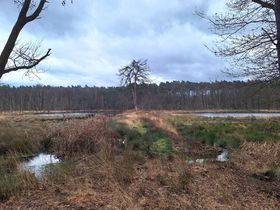 Actiedag voor de natuur: natuurbeheer in De Hoefaert