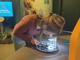 Duik in het Bos! Beleef de 'Week van het Bos' in de BioDrome.