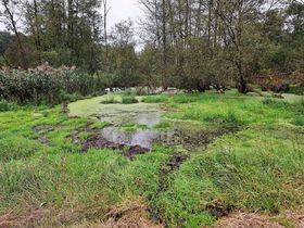 Samen fotograferen in de Zutendaalse natuur - gratis begeleide wandeling door Natuurlijk Zutendaal