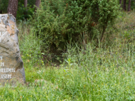 Stiltewandeling met de Nationaal Park Ranger