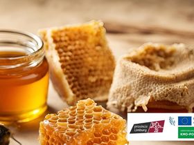 Gratis vorming Steunpunt Bijenteelt: Honing, propolis en was