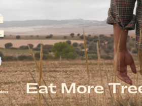 Food.Film.Fest: ontdek ‘Eat More Trees’ in de BioDrome