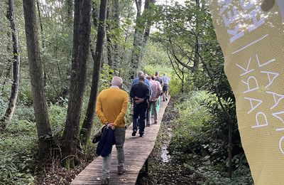 Nieuw plankenpad op de rode wandellus zorgt voor extra natuurbeleving!