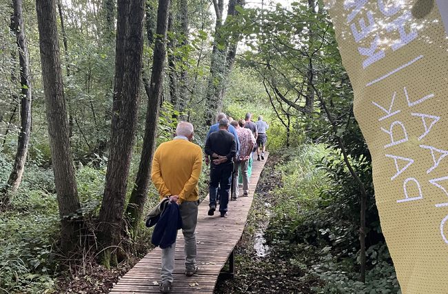 Nieuw plankenpad op de rode wandellus zorgt voor extra natuurbeleving!