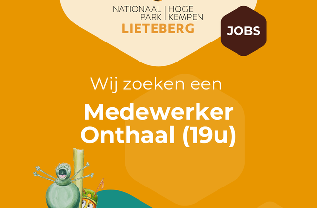 Vacature Onthaalmedewerker halftijds (19u)