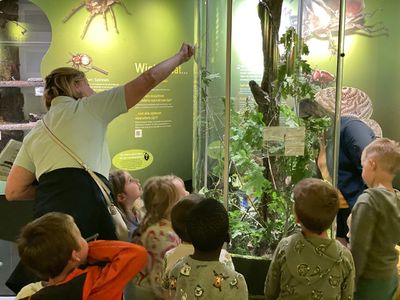 Visites guidées pour groupes